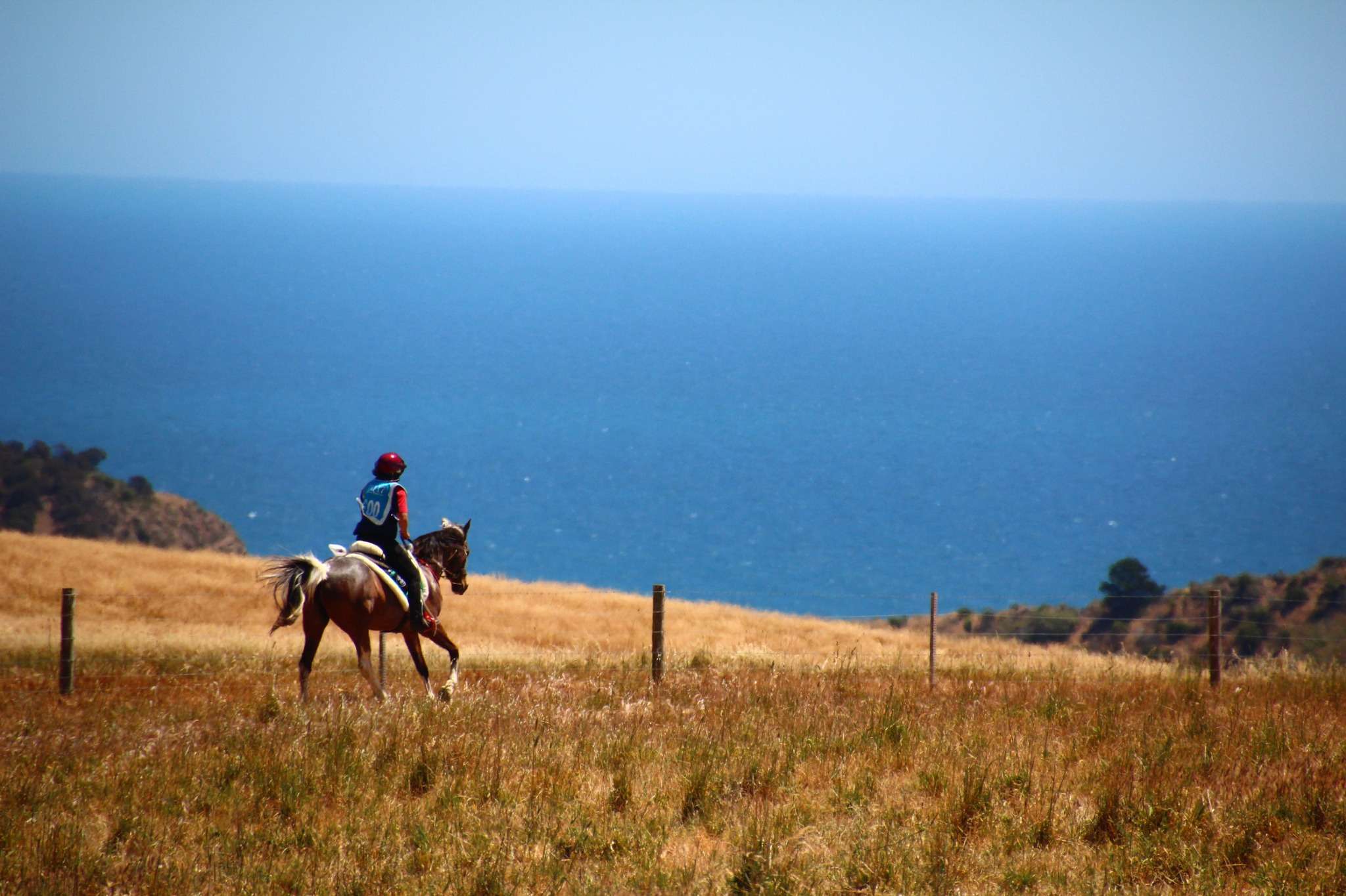 Results - South Australian Endurance Riders