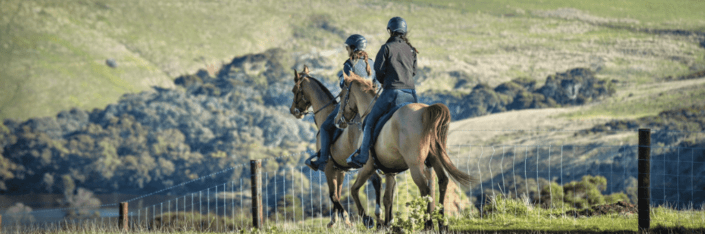 Endurance Riding in SA